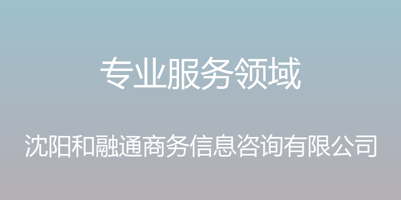 专业服务领域 - 沈阳和融通商务信息咨询有限公司