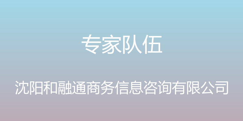 专家队伍 - 沈阳和融通商务信息咨询有限公司